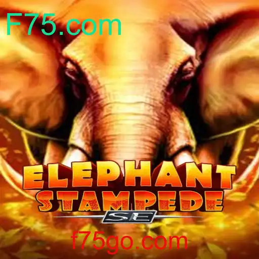 Explorando o Mundo de ElephantStampedeSE